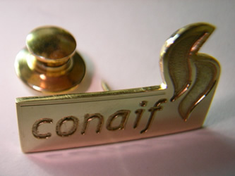 pin relieve empresas oro plata